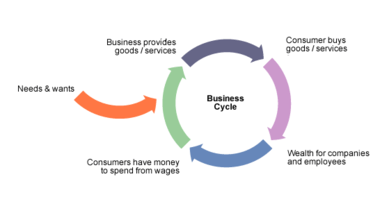 business_cycle